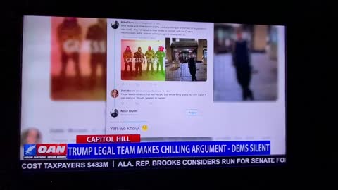 OAN Chanel Rion About Trump impeachment trial for 1/6