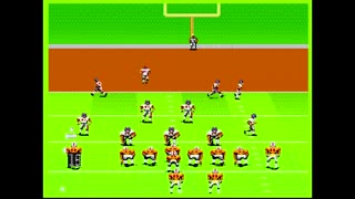 Madden92 (Sega Genesis) New York vs Tampa Bay Part3