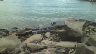 Filming the calm sea, the waves hit the rocks, there are fishing boats [Nature & Animals]
