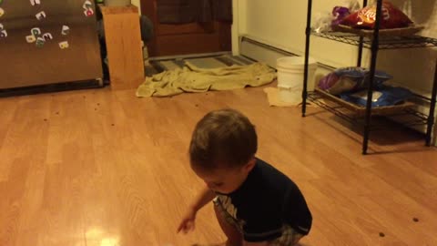 Great Dane knows how to make toddlers laugh