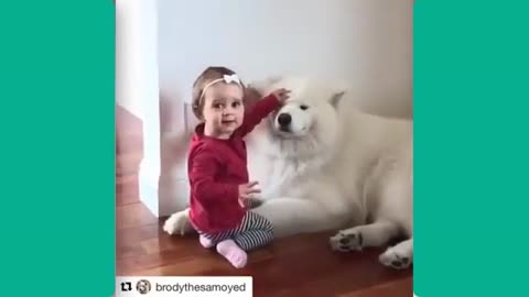 Cute Babies along with cute pets_Playing With Dogs Compilation