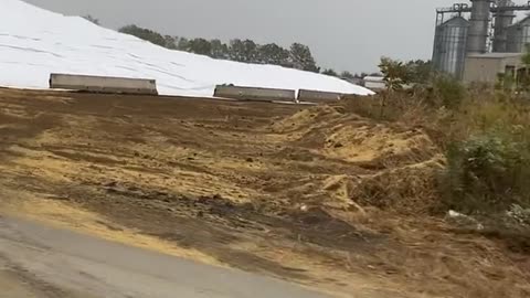 US farmers dump literal hills of beans on banks of Mississippi awaiting barges