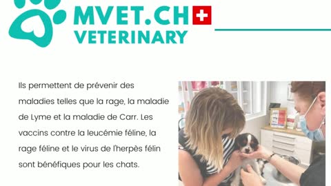 Genève vétérinaires d'urgence | MVET.CH