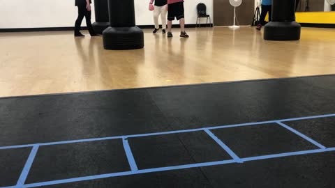 Kick training at the zoo: https://zoogym.com/