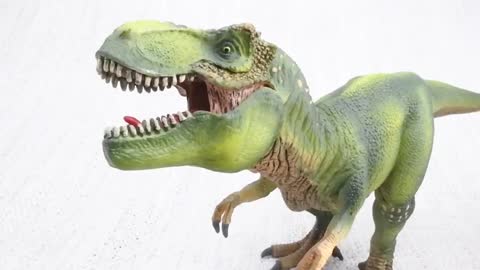 T-REX FACTS! |Fun & Educational | Dinosaurs For Kids