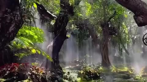 In the middle of a city in Thailand