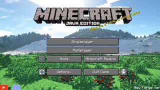 Minecraft vanilla skin version 1.17.1_12