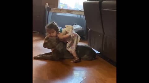 Abusive Child Attacks Pitbull And This Happened [Good Dog? Bad Owner?]