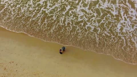 INCREDIBLE STORY, of friendship between a Pinquin and his rescuer