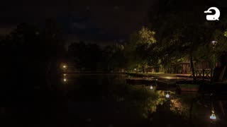 Frogs, Crickets, Owls, Nature Sounds-Peaceful Lake Sounds at Night-relaxing Sleep-ASRM