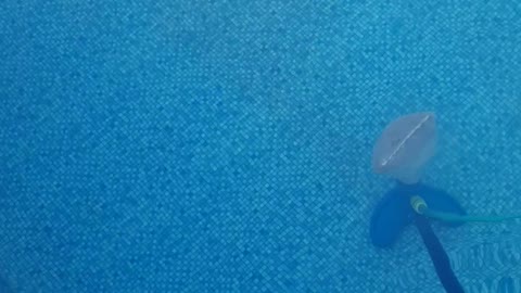 Cleaning a swimming pool with 1 hand in 10 min
