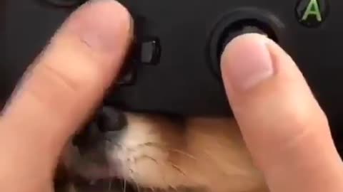 nose controller