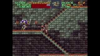 Super Castlevania IV for the Super Nintendo Entertainment System (SNES)