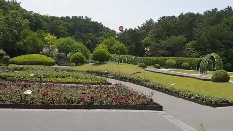 Ulsan's Rose Festival Rose Park