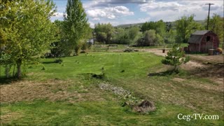 Graham Family Farm: A Nice Day to Mow