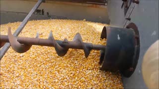 Gleaner K2 In First 2020 Corn