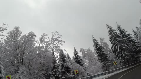 Amazing Winter Drive