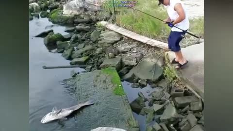 TRY NOT TO LAUGH I FUNNY FISHING COMPILATION...