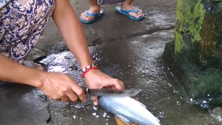 Kids Freaks Out Over Fish