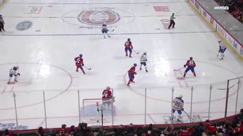 Skinner roofs a PPG