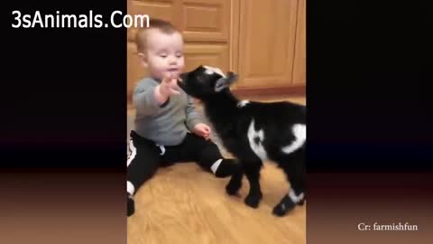 Cute pets Play With Kids