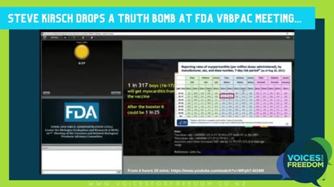 Steve Kirsch Drops A Truth Bomb At FDA VRBPAC Meeting