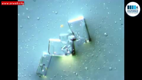 NEW IMAGES OF MICROCIRCUITRY IN PFIZER "VACCINE" & MORGELLONS !! 2 VIDEOS COMBINED