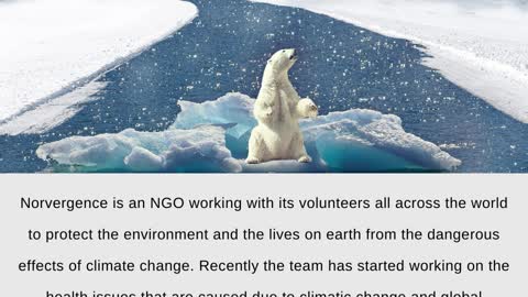 Norvergence Foundation INC - Climate Change and The Untold Suffering We All Need to Deal With