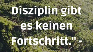 Motivation und Disziplin