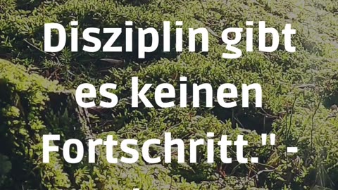 Motivation und Disziplin