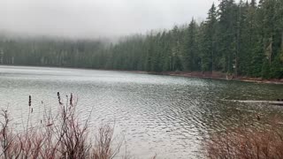 Oregon – Mount Hood National Forest – Foggy Forest Lake – 4K