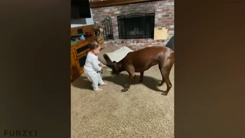 Funny Babies Playing with Dogs Compilation (Part 5)