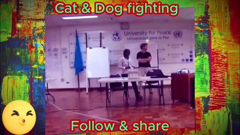 Cat & dog fight scene. They are always cute