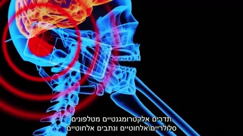 טיי בולינגר - 3 סודות למניעת סרטן