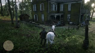 red dead redemption 2 strange house