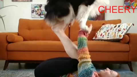 Amazing Dog | You can't believe | This Adorable Dog Doing Yoga With its Owner Will Make Your Day.