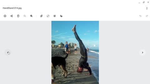 Legacy Photos - Headstands & Dogs @ Ft Lauderdale Beach