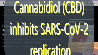 #157 Cannabidiol inhibits SARS-CoV-2 replication & more