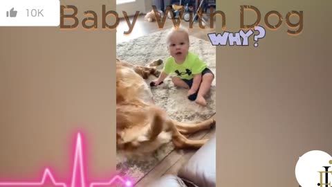 Best baby playing with our Dog _ Fun and Entertainment