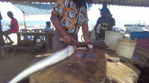 Huge Hound Fish Cutting Skills _ Fish Cutting Skills