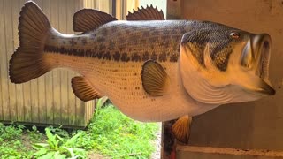 How to Paint a Reproduction Largemouth Bass