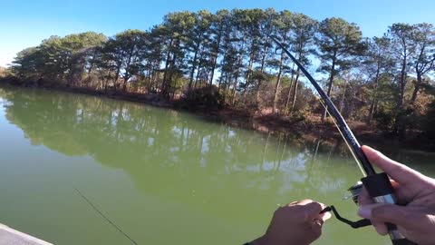 Fall Bass Fishing