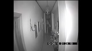 Ghost activity caught on camera