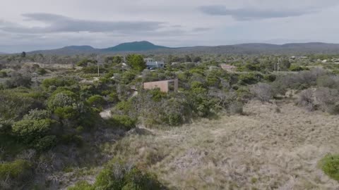 Architect Designs a Tiny Cabin on a Hidden Beach (Cabin Tour)