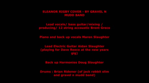 Eleanor Rigby COVER by the Gravel N Mudd Band