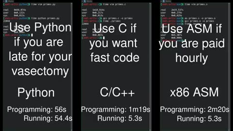 Python Vs C/C++ Vs Assembly side by side comparison.