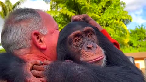 ANIMALS REUNITED WITH OWNERS AFTER YEARS