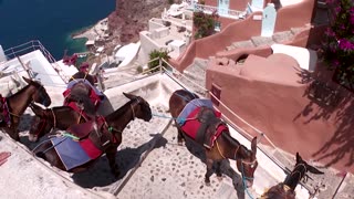 Greece's Santorini bursts with tourists as locals seek cap