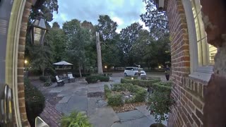 Doberman Puppy Smacks Into Glass Door