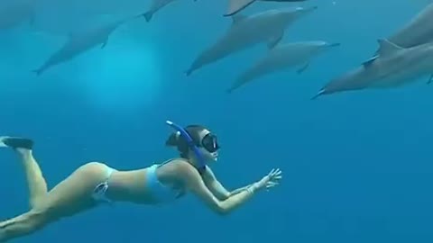 A trip with dolphins